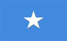 .org.so域名注册,索马里域名