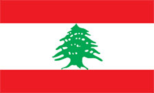 .org.lb域名注册,黎巴嫩域名