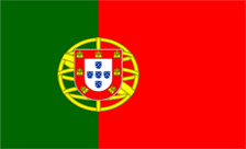 .com.pt域名注册,葡萄牙域名