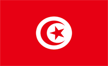 .org.tn域名注册,突尼斯域名