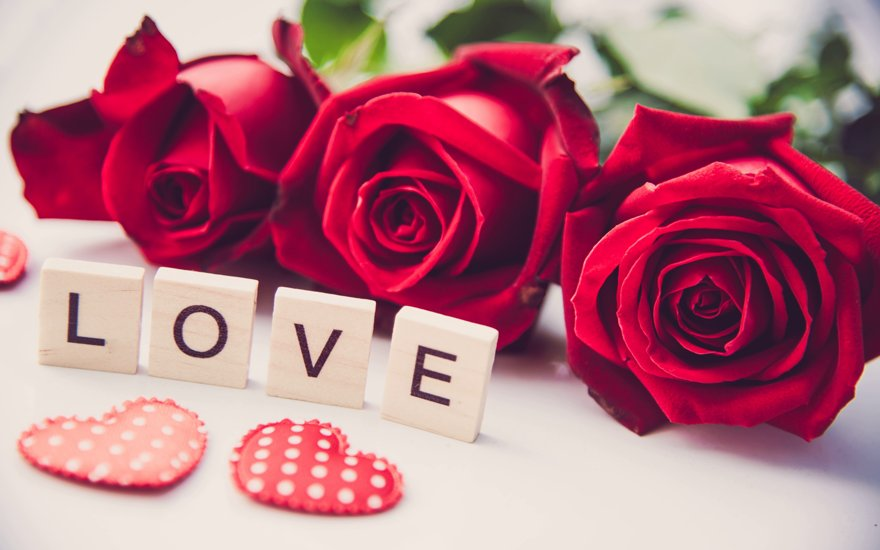 亚马逊新顶级域名Love.You注册费超3万美元